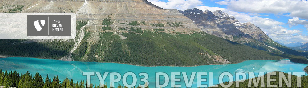 TYPO3 development